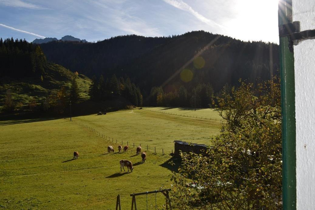 Ferienwohnungen Foidlhof Гохфільцен Екстер'єр фото